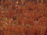 Sunlight on Hoodoos in Bryce Amphitheater