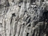 Detail of Rock with Column-Like Construction