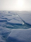 Sea Ice in the Canadian Arctic