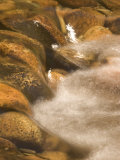 Close-up of Water Rushing over Rocks in a Stream