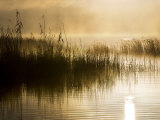 Fog and Mists Rising from Lake Mclaren in the Early Morning