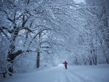 Adult Women Cross-Country Skiing on a Trail Though the Snowy Woods