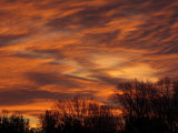 Dramatic Winter Sunset with Orange Clouds and Silhouetted Tree Line