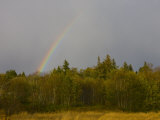 Rainbow Graces the Sky after a Rainshower