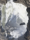 Great Blue Heron Taking Off from Rocks Near Big White Water