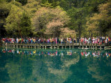 Tourists on a Viewing Platform are Reflected in Panda Lake