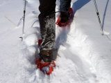 Legs of a Snowshoeing Adventurer