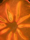 Magnification of the Pattern of a Backlit Slice of Dried Persimmon