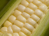 Close View of Corn