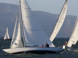 Sailboats Race in San Francisco Bay
