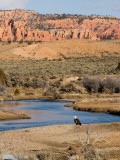 Desert Scene in Utah