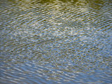 Sky Reflected in the Rippled Water of the Madison River
