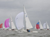 Etchells Sailboats Race Downwind in a Regatta on the Chesapeake Bay