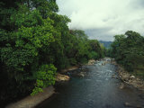 River Running Through a Forest in Costa Rica