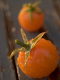 Close-up of Cherry Tomatoes