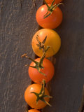 Close-up of Cherry Tomatoes