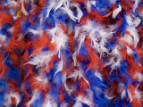 Patriotic Inauguration Souvenirs Include Red  White  and Blue Boas