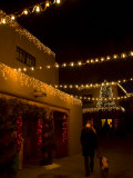 Woman Walks a Dog and Admires the Holiday Lights in Santa Fe