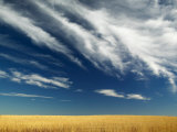 Wide Open Dramatic Prairie