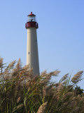 Cape May Lighthouse and Reeds Bending in a Gentle Breeze