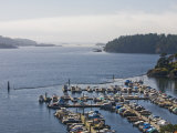 Marina Sits in a Protected Harbor on a Summer Afternoon
