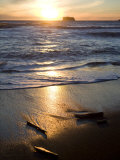 Beach at Sunset in Olympic National Park