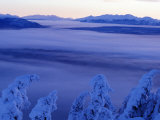 Winter Landscape with Hoar Frosted Trees and Mountains in Distance