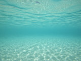 Underwater Shot of Clear Blue Water and White Sand