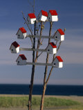 Group of Birdhouses on a Small Tree