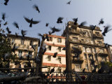 Pigeons Fly at Kothari Kaboota Khanna Near the Victoria Terminus