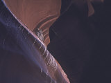 Owl in Antelope Canyon Arizona