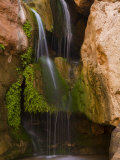 Waterfall and Mosses in Elves Chasm  Grand Canyon National Park
