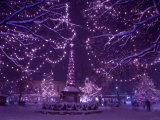Christmas Lights Up a City Square on a Winter's Day
