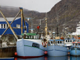 Harbor at Sisimiut  Greenland  Filled with Fishing Boats