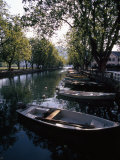 Rowboats Docked in a Tree-Lined Canal in Annecy  France