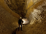 Goat's Paradise  a Gypsum Covered Passage in Rumbling Falls Cave