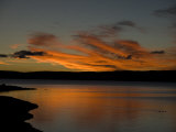 Ducks Swimming at Sunset in Yellowstone Lake