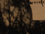 Shadows on an Adobe Building
