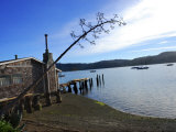 Road Shot of Tomales Bay from Route 1 North of San Francisco  Ca