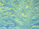 Frost on a Window with Morning Sun Refracting Through Ice