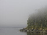 Fog and Mist on a Summer Afternoon Form Along the Shoreline