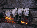 Oysters Roasting on a Grate over a Campfire