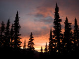 Sunset in an Alpine Meadow