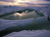 Pressure Ice Captures Seawater with the Tides on Baffin Island Shores