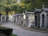 Summer View of a Cemetery Street with Rows of Family Tombs and Trees