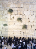 High Angle View of Jewish Men Praying at the Western Wall