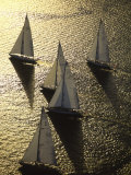 Sunlight on the Water and Sailboats