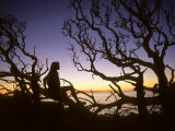 Woman Sitting on Tangled Tree Branches at Dusk