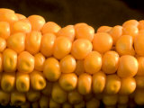 Magnification of an Ear of Corn