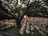 Luau on the Grounds of the Royal Hawaiian Hotel  Waikiki